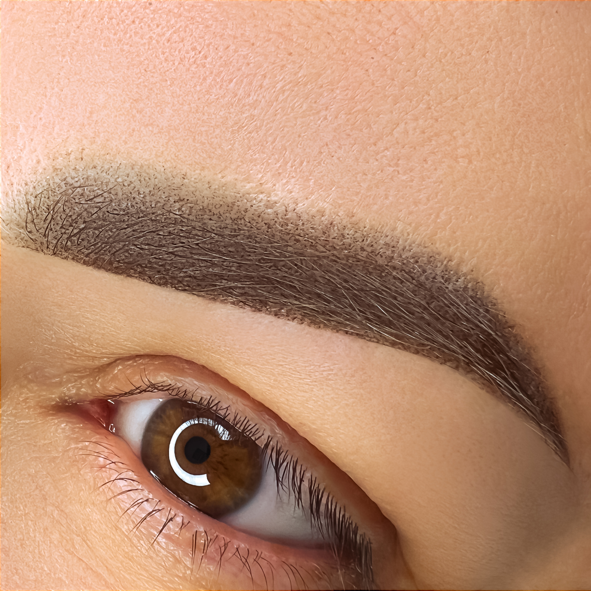 Powder Brows Heilungsprozess: Was du in den ersten 4 Wochen erwartet