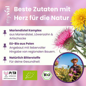 Bio Mariendistel Leber Komplex Kapseln