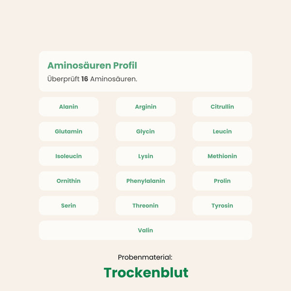Aminosäuren Profil