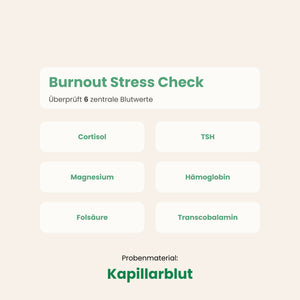 Burnout Stress Check