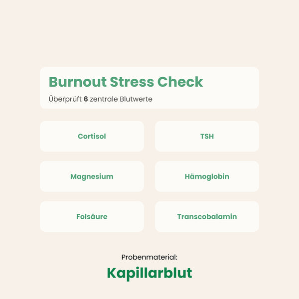 Burnout Stress Check