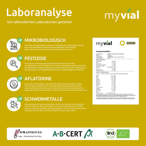 Bio Goldene Milch Latte mit 10 ayurvedischen Superfoods