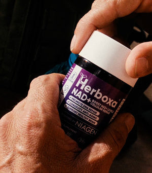 Herboxa® NAD+