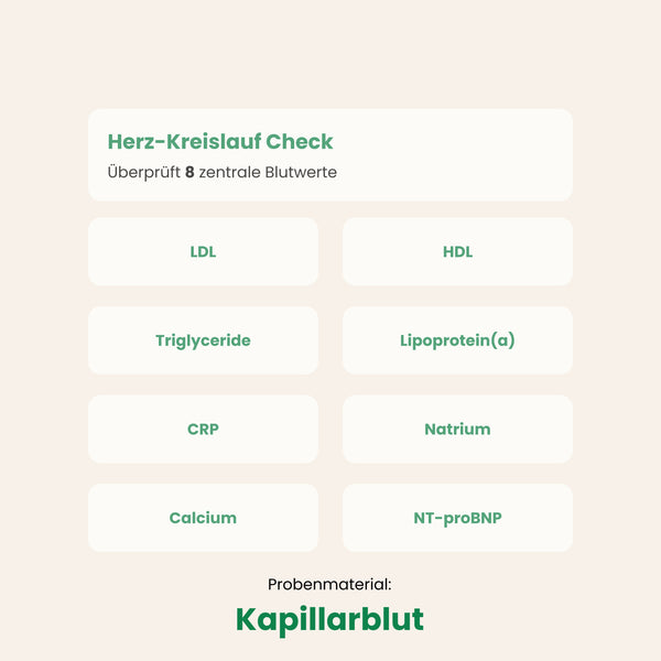 Herz-Kreislauf Check