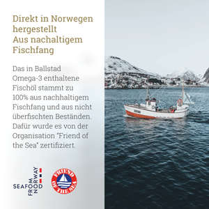 Frische Omega-3 Fischöl-Kapseln - 1 Monat