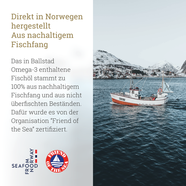 Frische Omega-3 Fischöl-Kapseln - 1 Monat