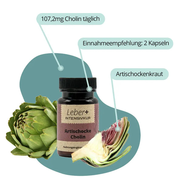 Leber+ Box - 14-Tage Intensivkur