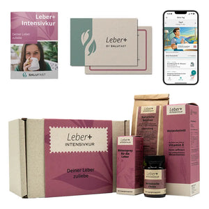 Leber+ Box - 14-Tage Intensivkur