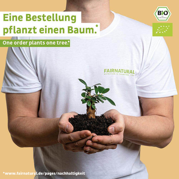 Bio Goldene Milch Pulver