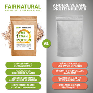 Bio Veganes Proteinpulver Mango ohne Soja