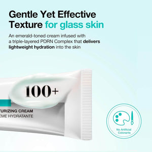 Anua PDRN Hyaluronic Acid 100 Moisturizing Cream 60 ml