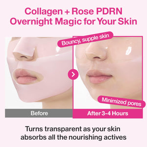 Numbuzin No.2 Rose PDRN Overnight Collagen Mask Set