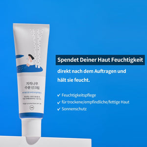 Round Lab Birch Juice Moisturizing Sun Cream SPF50+ PA++++